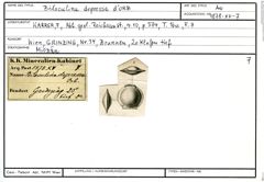 Karteikarte zum Abbildungsoriginal von Biloculina depressa d'Orbigny, 1826